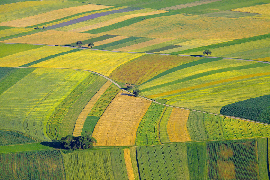 l'agriculture en France de la monoculture, montrant un paysage uniformisées