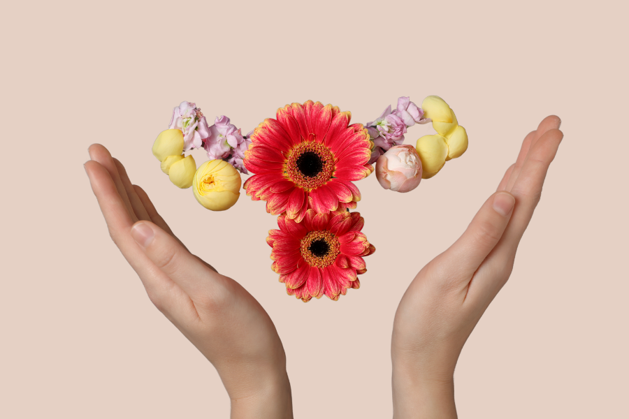 Illustration symbolique de l’utérus avec des fleurs et des mains protectrices — représentation naturelle de la fertilité et de la santé féminine.